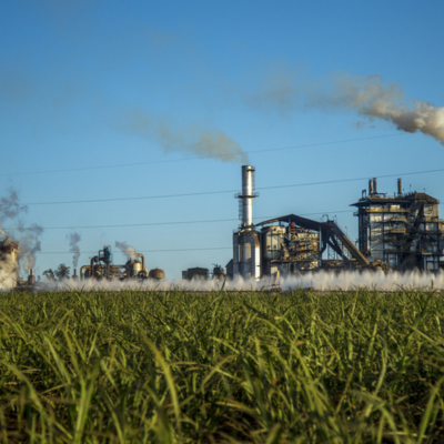 Sugar industry